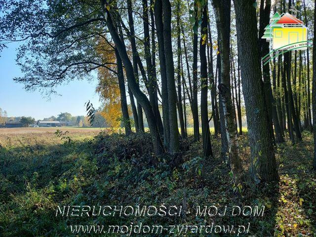 Działka budowlana Radziwiłłów gm. Puszcza Mariańska