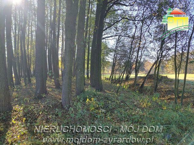 Działka budowlana Radziwiłłów gm. Puszcza Mariańska