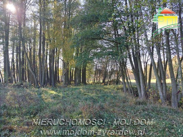 Działka budowlana Radziwiłłów gm. Puszcza Mariańska
