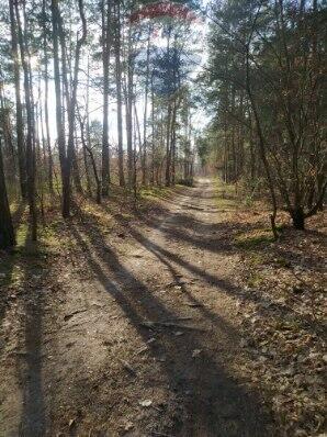 Działka Leśna w Radomiu -inwestycyjna 7307m2