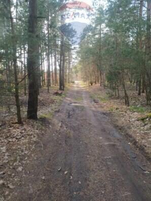 Działka Leśna w Radomiu -inwestycyjna 7307m2