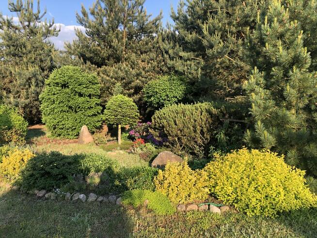 Sprzedam działkę z domkiem