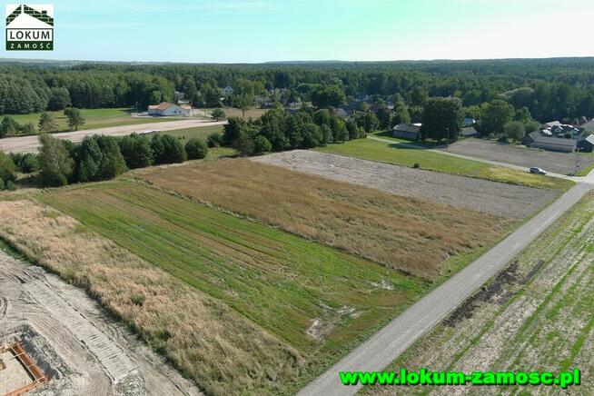Działka w Zarzeczu gmina Zamość 0,22 ha