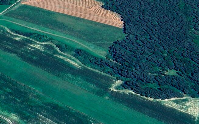 Działka w górach – Karlików, gm. Bukowsko | 2,95 ha z dojazd