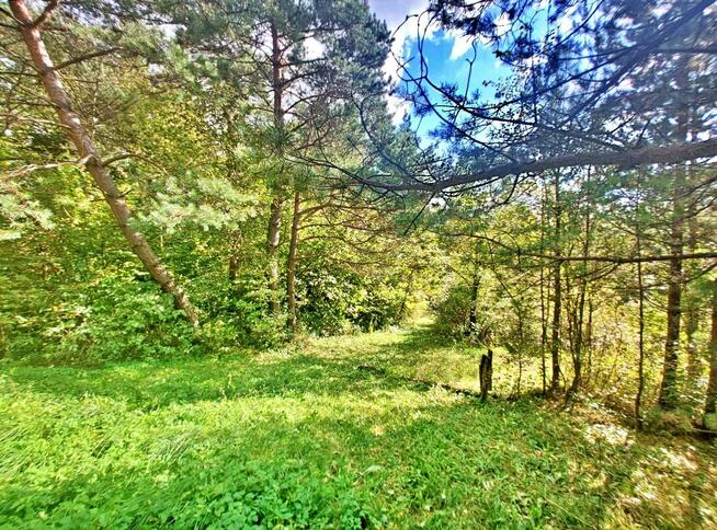 Działka w górach – Karlików, gm. Bukowsko | 2,95 ha z dojazd