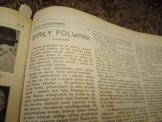 Tygodnik Ilustrowany 1931 rok