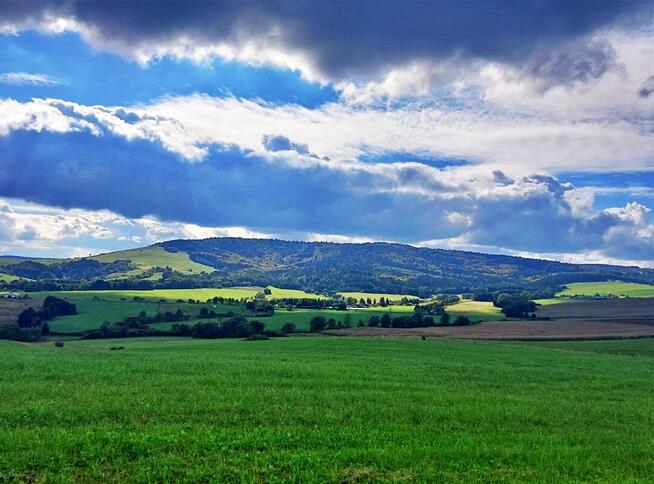 Działka w górach – Karlików, gm. Bukowsko | 2,95 ha z dojazd