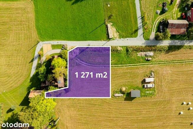 Działka budowlana w Dzianiszu