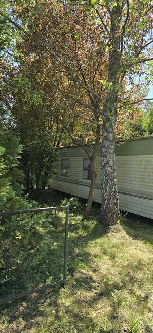 Domek nad jeziorem wśród lasów