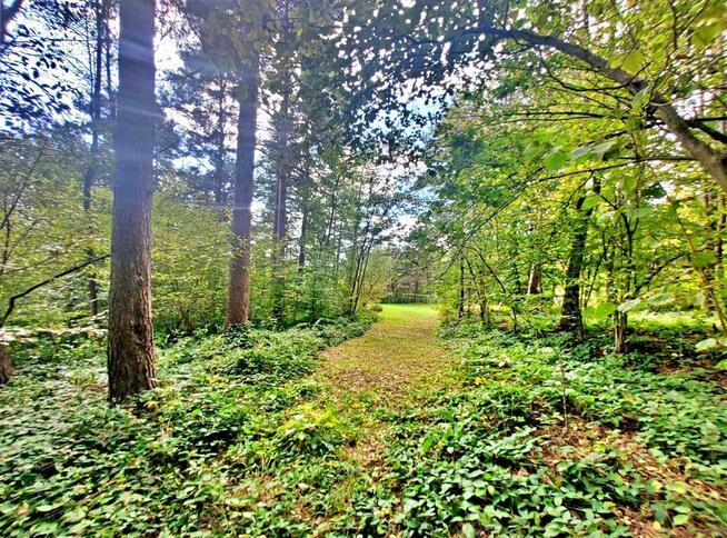 Działka w górach – Karlików, gm. Bukowsko | 2,95 ha z dojazd