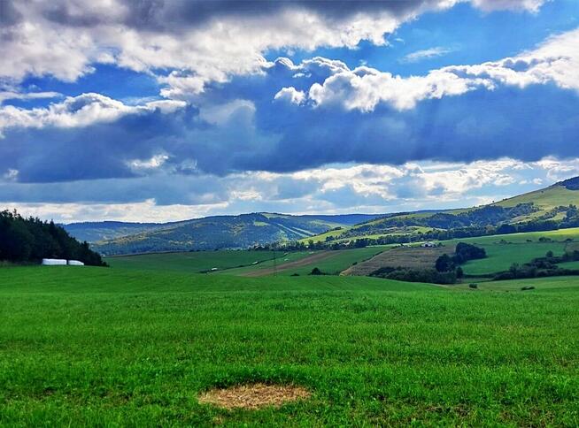 Działka w górach – Karlików, gm. Bukowsko | 2,95 ha z dojazd