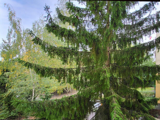 Wynajmę pokój 16m2, 3 min metro Stokłosy, dla 2 lub 1 osoby