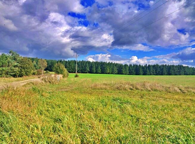 Działka w górach – Karlików, gm. Bukowsko | 2,95 ha z dojazd