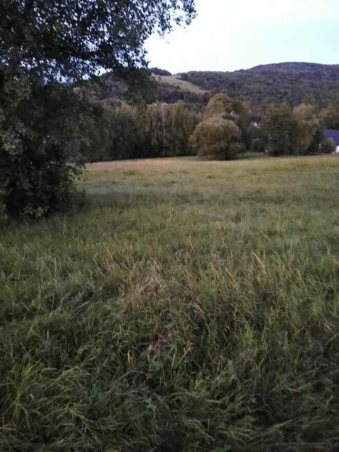 Działka w Beskidzie Niskim- Twoje miejsce na relaks i spokój