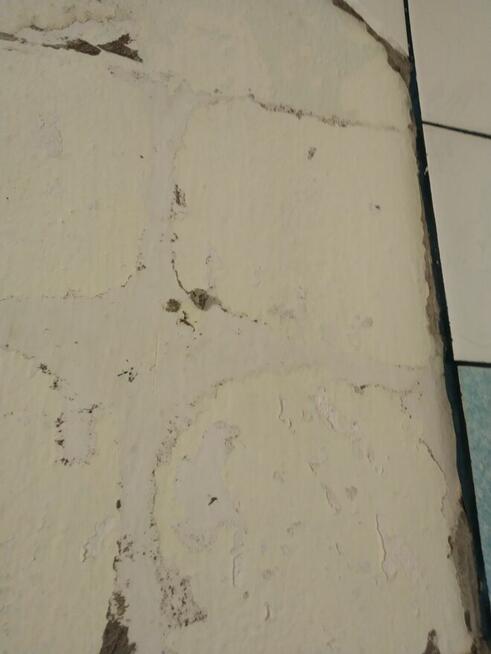 Mieszkanie Kawalerka 38m2