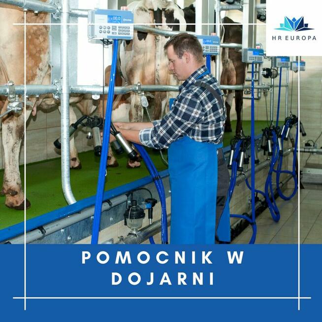 Dojarz w Niemczech od zaraz