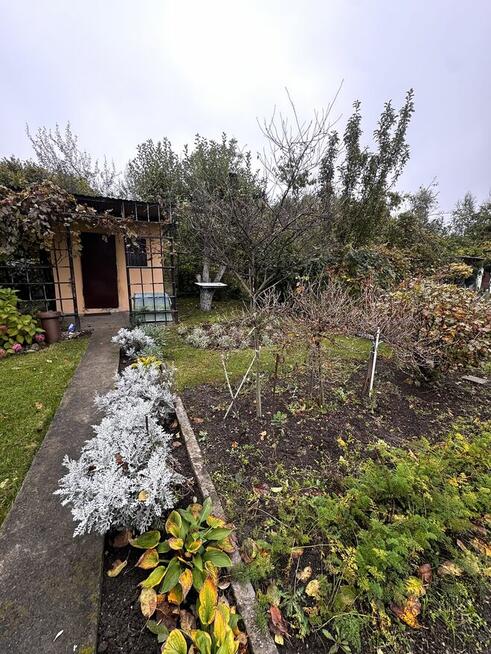 Sprzedam ogródek działkowy ROD