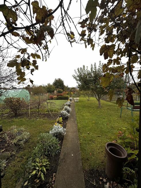 Sprzedam ogródek działkowy ROD