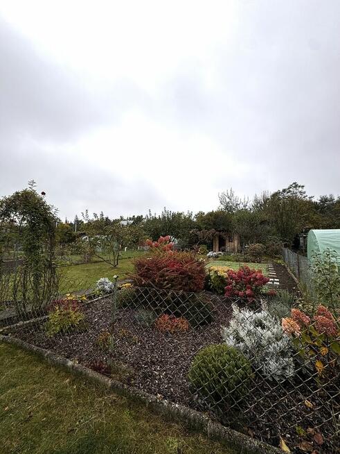 Sprzedam ogródek działkowy ROD