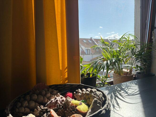 Dom Smolec gm. Kąty Wrocławskie, Al. Śliwowa