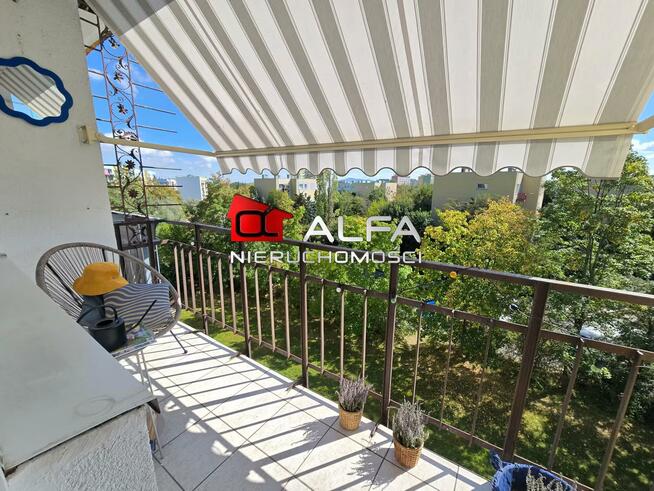 Mieszkanie Świdnica