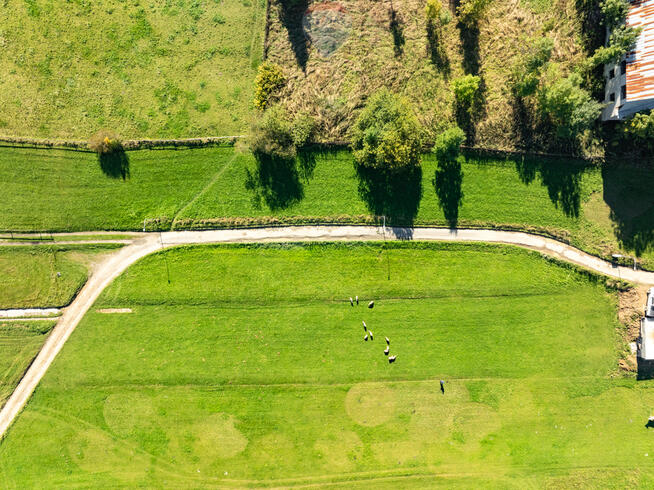 DZIAŁKA BUDOWLANA W ZĘBIE