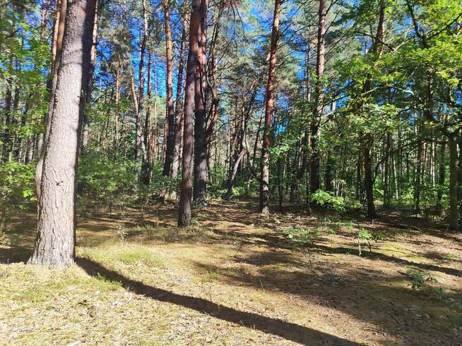 Na sprzedaż! Działka - Osiedle Wilga