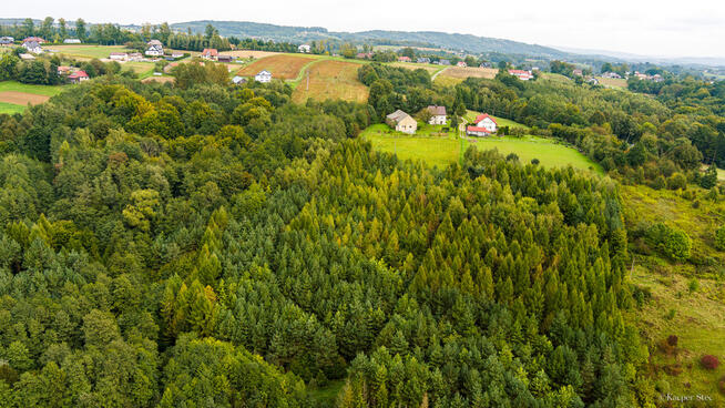 Na sprzedaż działki w Zalasowej