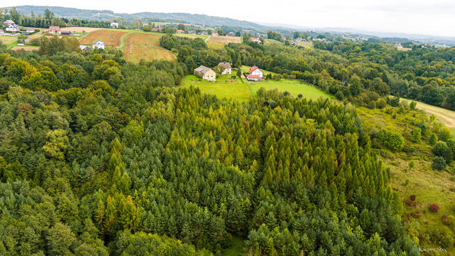 Na sprzedaż działki w Zalasowej