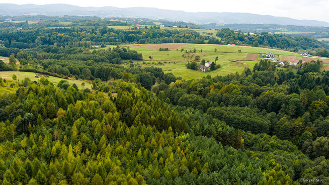 Na sprzedaż działki w Zalasowej