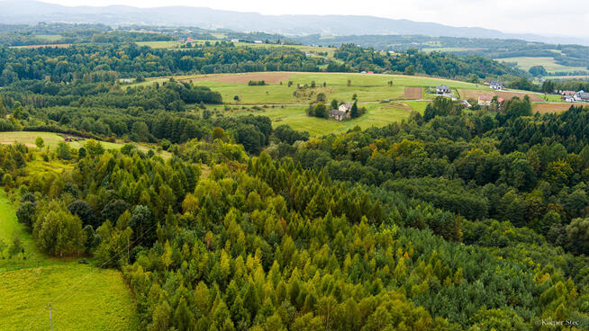 Na sprzedaż działki w Zalasowej
