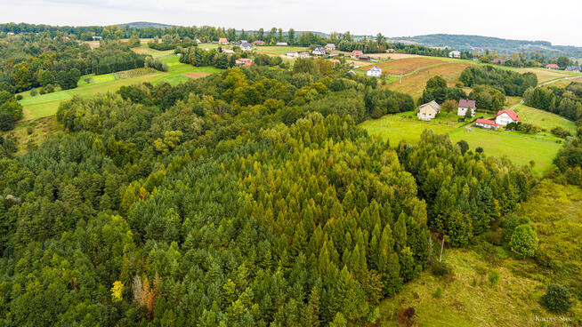 Na sprzedaż działka w Zalasowej