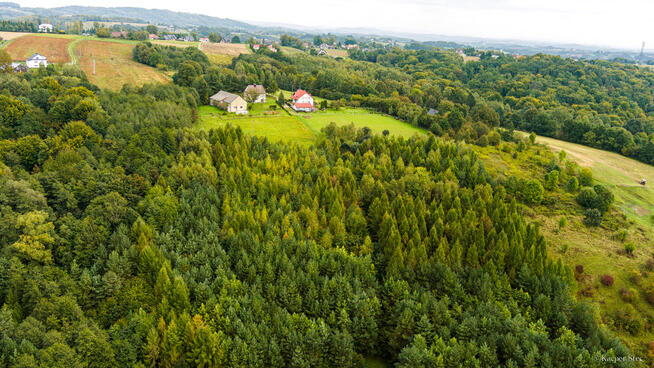 Na sprzedaż działka w Zalasowej