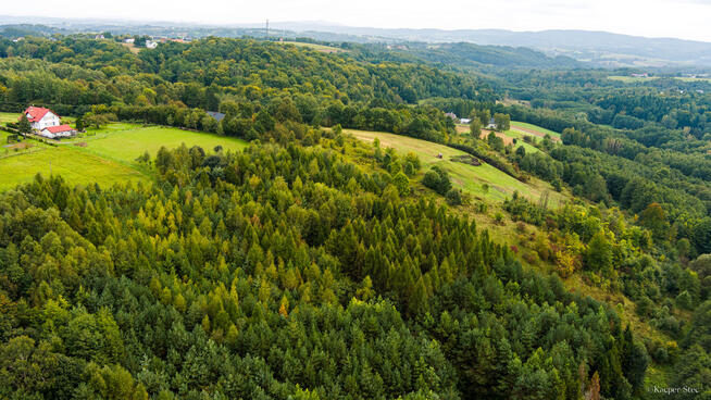 Na sprzedaż działka w Zalasowej