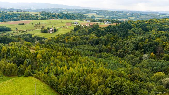 Na sprzedaż działka w Zalasowej