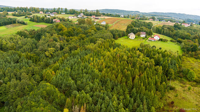 Na sprzedaż działka w Zalasowej