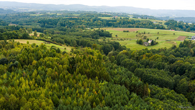 Na sprzedaż działka w Zalasowej