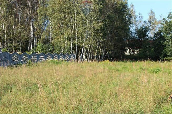 Działka budowlana 3026m2 z dojazdem do A4 w 15 min