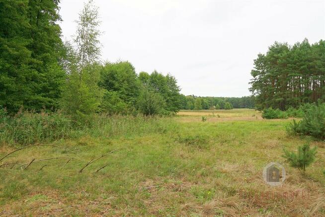 Działki otoczone lasem, powierzchnie od 1543 m2