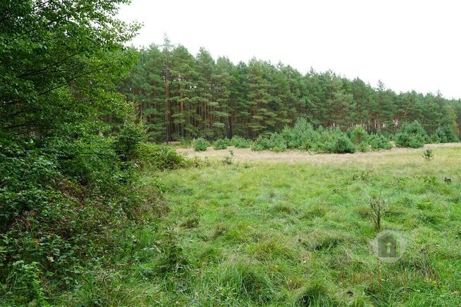 Działki otoczone lasem, powierzchnie od 1543 m2