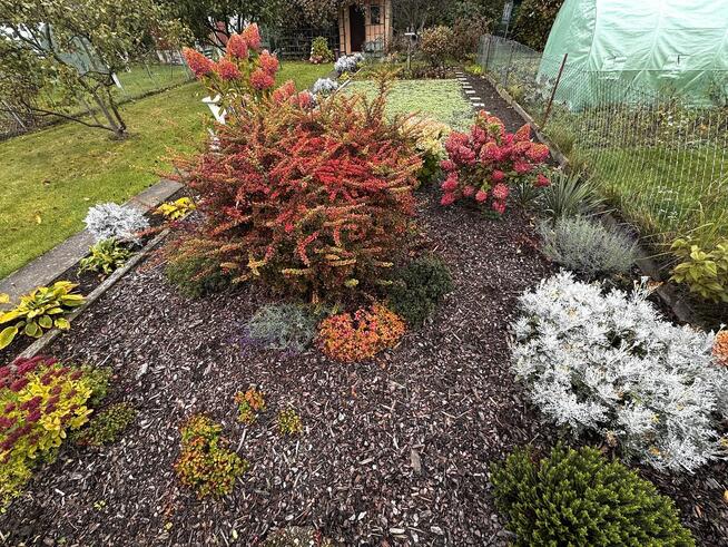 Sprzedam ogródek działkowy ROD