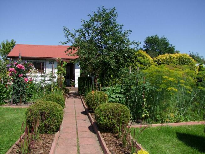 Sprzedam działkę rekreacyjną ROD