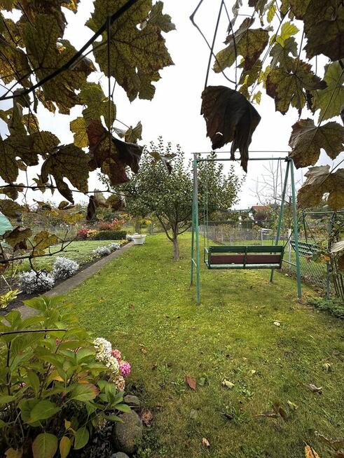 Sprzedam ogródek działkowy ROD