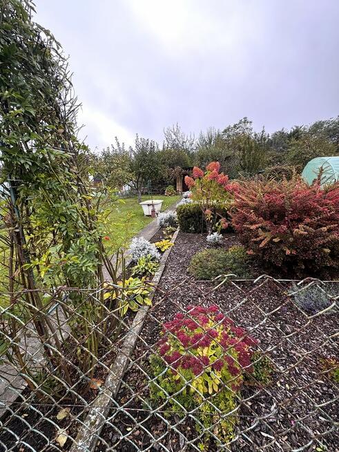 Sprzedam ogródek działkowy ROD