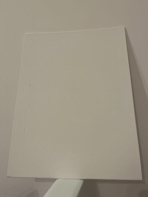 Portret Pupila – malowany ze zdjęcia