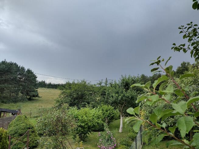 Działka ROD z domkiem 2025 – Aleksandrów