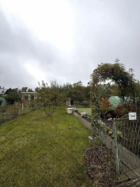 Sprzedam ogródek działkowy ROD