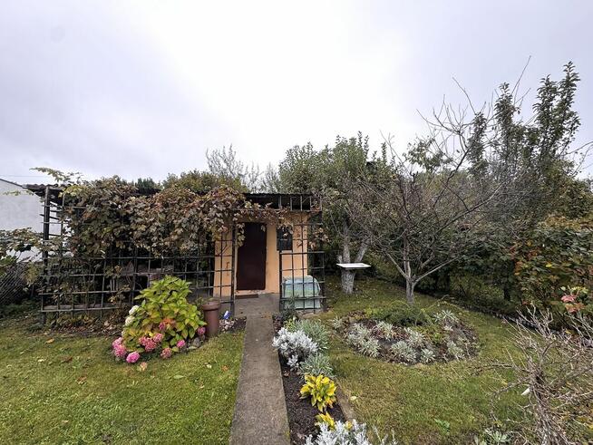 Sprzedam ogródek działkowy ROD