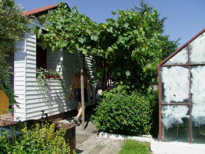 Sprzedam działkę rekreacyjną ROD