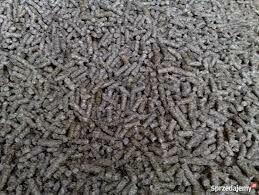 Alpha Cargo Sp. z o.o.